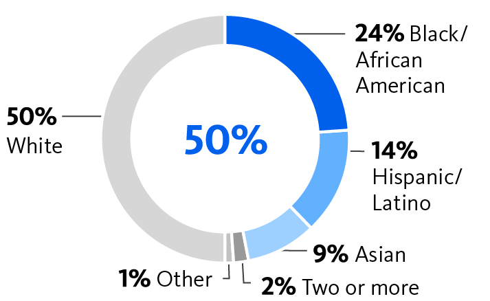 piechart_ethnicityworkforc.jpg